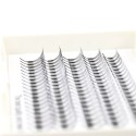 5D pointy base G series 5 lines 0.07mm C D Curl  
