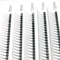 3D long stem 5 lines C D Curl 0.15mm 0.20mm Thickness 8-15mm Mix Length Premade Volume Fans Eyelash Extensions